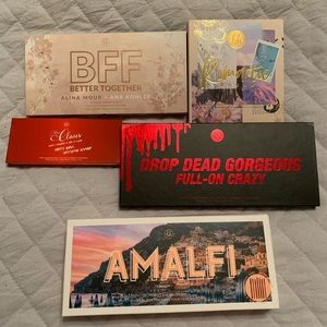 New BH cosmetics eyeshadow palettes and brush set
